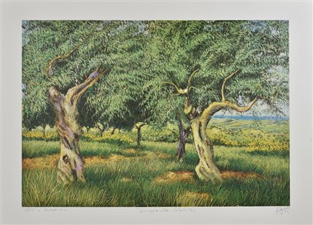 Franco Azzinari ULIVI A ROSSANO - OMAGGIO ALLA CALABRIA, 1983 stampa...