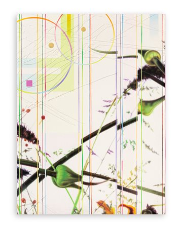 DANY VESCOVI (1969) - Senza Titolo, 2009