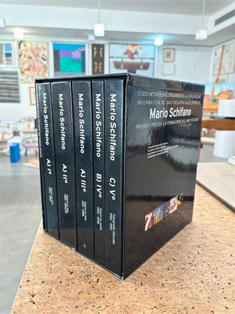 MARIO SCHIFANO - Studio metodologico riguardante la catalogazione informatica dei dati relativi alle opere di Mario Schifano presenti presso la Fondazione M.S. Multistudio