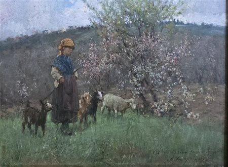 Alceste Campriani (1848-1933).Pastorella con pecore.Cm.26 x 35