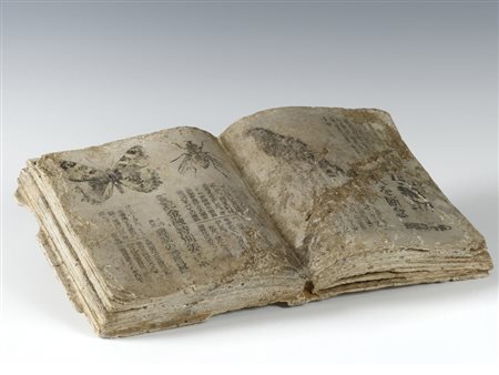 Enzo Guaricci (1945) Libro resina 23x46 cm