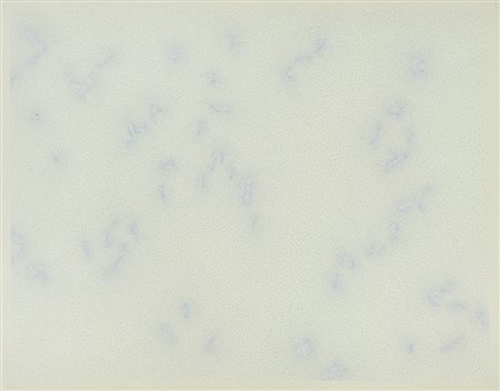 DADAMAINO (EDOARDA MAINO) Milano 02/10/1935 - Milano 04/2004Costellazioni,...