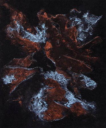 VAN DEN BERGHE SANDRINE Rosendael (Francia) 27/08/1967Senza titolo,...