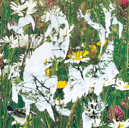 ROTELLA MIMMO Catanzaro 07/10/1918 - Milano 08/01/2006Erbario, 1997decollage...