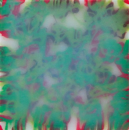 NIDO DAVIDE Senago 1966 - Pavia 28/10/2014Evanescenza vegetale, 2010tecnica...