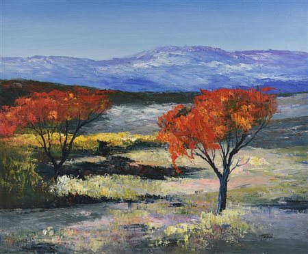 Ignoto PAESAGGIO olio su tela, 50x60 firma