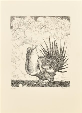 Abacuc VOLATILE incisione, cm 31x24,5, su foglio cm 50x35; es. 43/100 firma e...