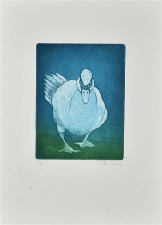 Ignoto ANATRA MUTA incisione, cm 18x13, su foglio cm 35x25; es. 26/30 firma e...