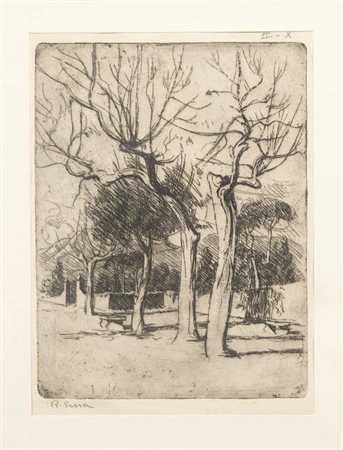 SESSA R.<BR>"Studio d'alberi" Capri