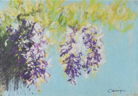 Giancarlo Cazzaniga GLICINE pastelli su carta, cm 35x50 firma