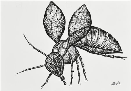 Danilo Marchi APE BIONICA china su cartoncino Fabriano, cm 24x33 firma
