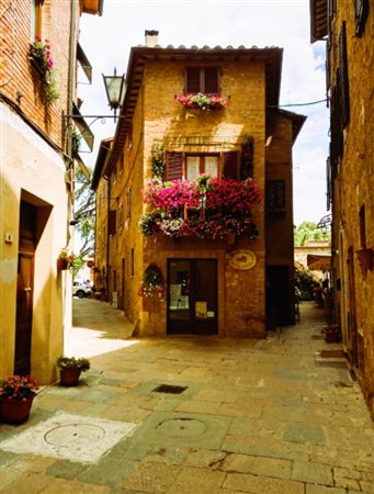 ORNELLA ROSSI, Vicolo in fiore, 2024