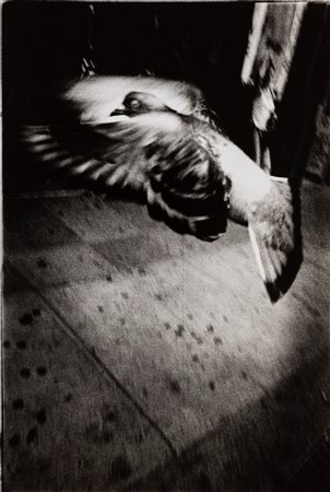 Michael Ackermann (1967)  - New York, 1998
