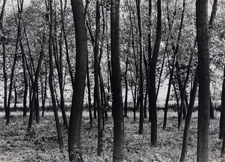 Gabriele Basilico (1944 - 2013)  - Rivalta Scrivia, 1970s