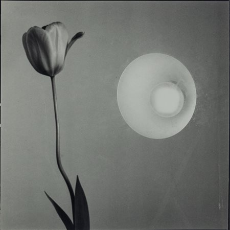 Toni Catany (1942 - 2014)  - La tulipa i el faro, 1981