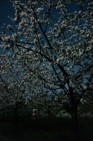 Stanislao Farri (1924 - 2021)  - Spaventapasseri, 1987