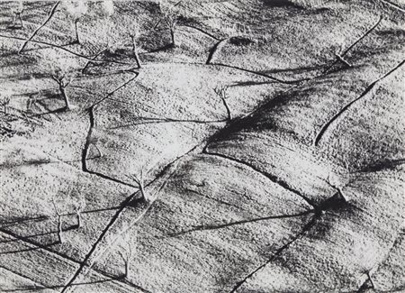 Mario Giacomelli (1925 - 2000)  - Presa di coscienza sulla natura, 1975/1985