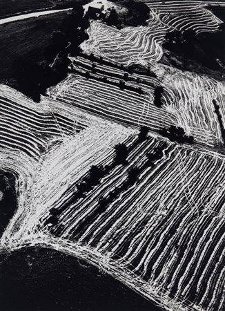 Mario Giacomelli (1925 - 2000)  - Presa di coscienza sulla natura, 1975/1985
