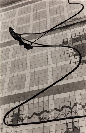 Riccardo Moncalvo (1915 - 2008)  - Serpe d'acqua, 1938