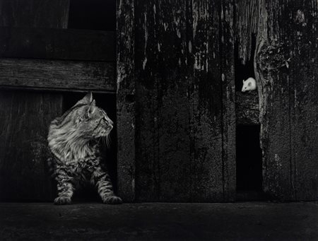 Pedro Luis Raota (1934 - 1986)  - ... y ahora?, 1970s