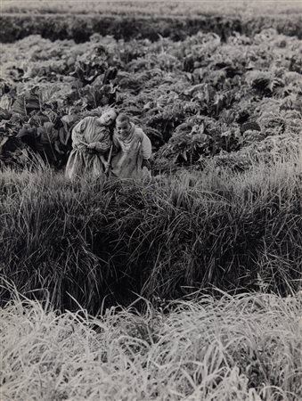 Fulvio Roiter (1926 - 2016)  - Egitto, 1977