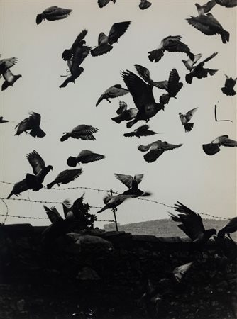Pino Settanni (1949 - 2010)  - Voligrammi, 1970s