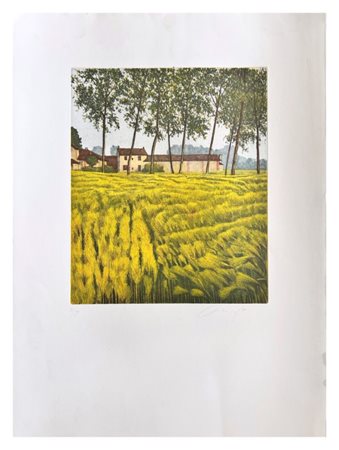 Oliviero Masi, Senza titolo