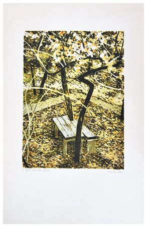 Antonio Saliola, I passi del sole