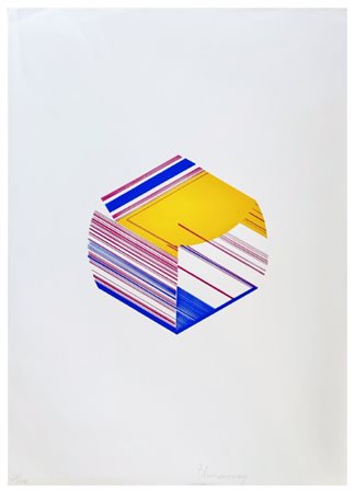 Inès Blumencweig, Senza titolo