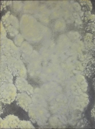 VAN VREDEN MARTIN , "senza titolo", 1984