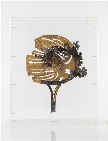 Francesco Brunetti detto Checco (Bologna 1941 - Crespellano 1995), "Trionfo"