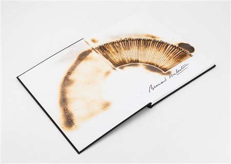 BERNARD AUBERTIN (1934-2015) - Livre Brûlé, 2010