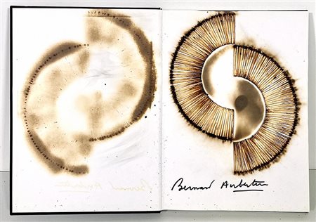 BERNARD AUBERTIN, "Livre Brûlé Rosenberg"