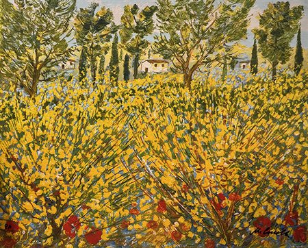 MICHELE CASCELLA, 1984