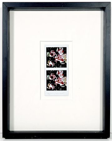 MAURIZIO GALIMBERTI, "BiFlowers"