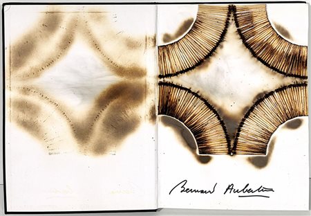 BERNARD AUBERTIN, "Livre Brûlé Rosenberg"