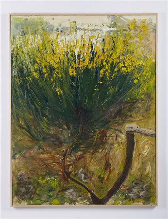 CAZZANIGA GIANCARLO (1930 - 2013) - GINESTRE AL CONERO.