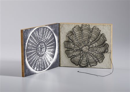 MEO GISELLA (n. 1936) - COL-LEGAMENTO.