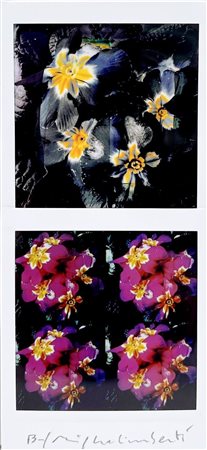 Maurizio Galimberti “Biflowers”