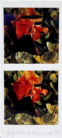 Maurizio Galimberti “Biflowers”