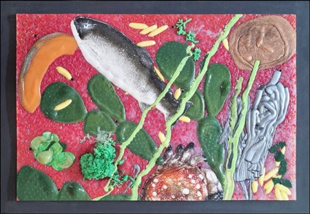 RONDA OMAR Portula 1947 - Biella 2017 "Fusion Genetic"