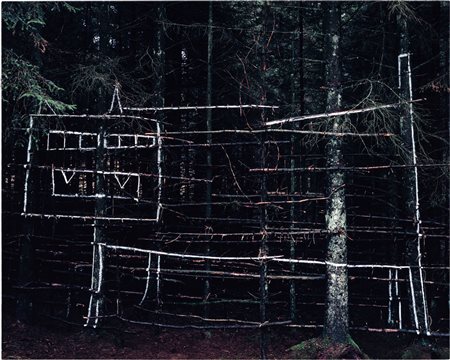 Cat (For Mimi and Talia)