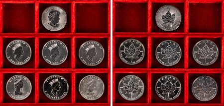 CANADA - ELISABETTA II (1952-2022) - Lotto di 7 esemplari da 5 dollari 'leaf', senza ripetizioni (1988, 1989, 1991, 1992, 1994, 1996, 2015).