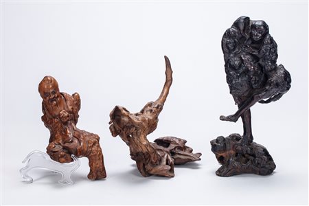 Tre radici "Scholar's Rock". Cina, dinastia Qing (1644-1912)