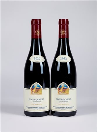 Domaine Georges Mugneret-Gibourg Bourgogne Rouge - 2022