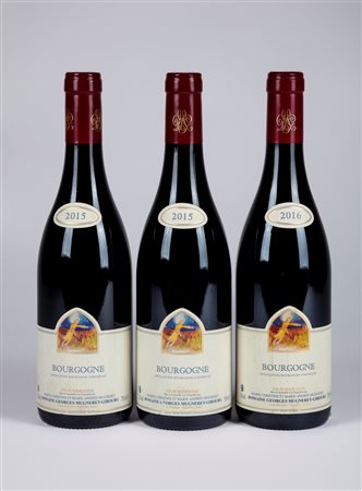 Selezione Domaine Georges Mugneret-Gibourg Bourgogne Rouge -  