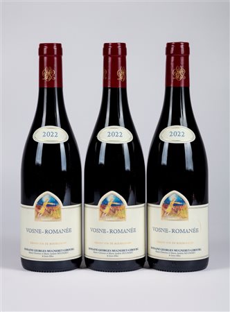 Domaine Georges Mugneret-Gibourg Vosne-Romanee - 2022
