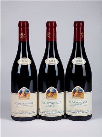 Selezione Domaine Georges Mugneret-Gibourg Clos de Vougeot Grand Cru -  