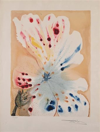 Salvador Dalì (Figueres 1904 - Figueres 1989) Senza titolo (orchidea) Firma e...