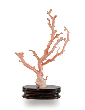 ARTE ORIENTALE RAMO IN CORALLO, CINA, XX SECOLO, su base in legno; lievi...